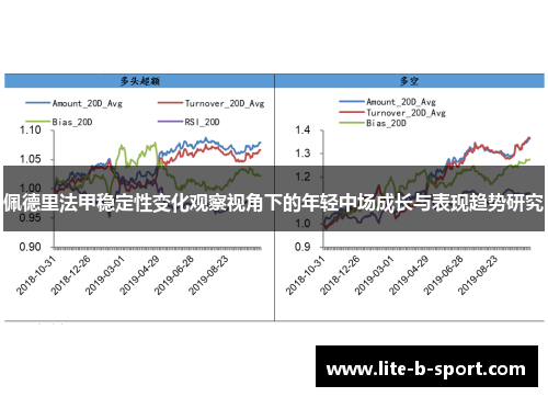 佩德里法甲稳定性变化观察视角下的年轻中场成长与表现趋势研究